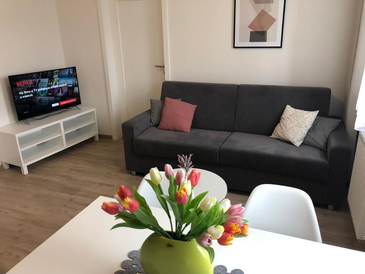 Apartament Rezidence Weisovka Czeskie Budziejowice Zewnętrze zdjęcie
